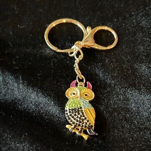Colorful Owl Keychain